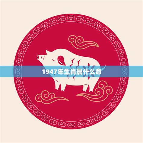 1947年生肖猪|1947年属什么生肖？详细解析1947年的属相及命运